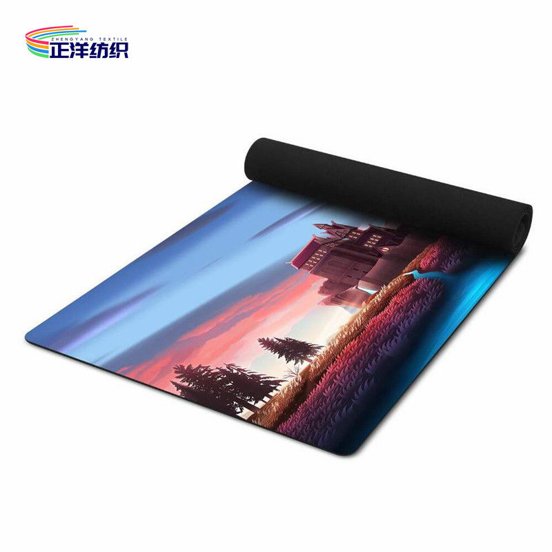 24"X72" Natural Rubber Backed Door Rugs Anti Slip 4mm Printed Plastic Door Runner Mat